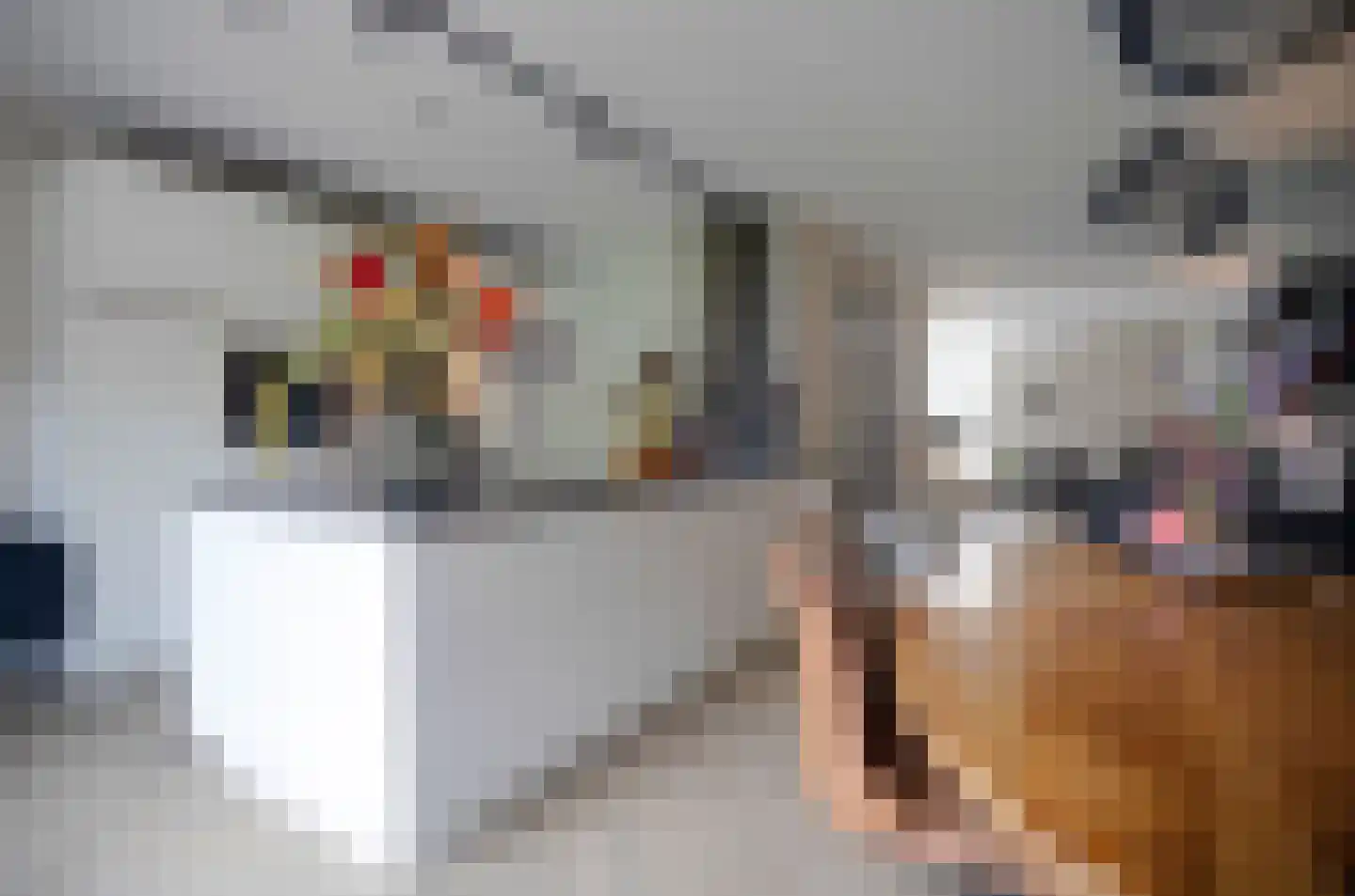 Kwikstaart 2 Kaatsheuvel thumbnail 16