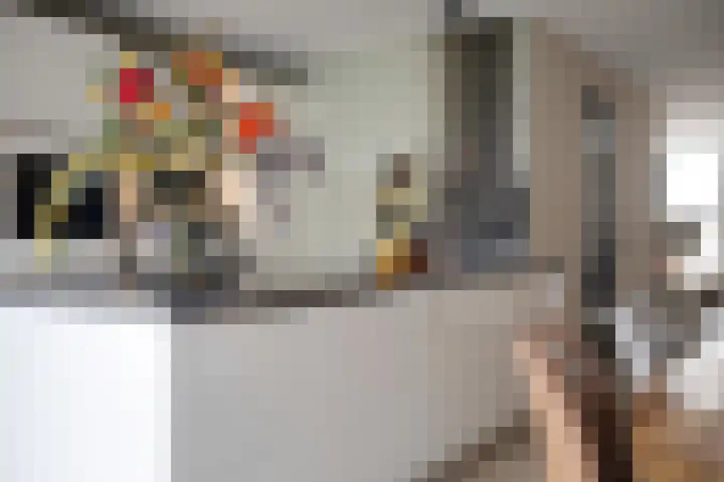 Kwikstaart 2 Kaatsheuvel thumbnail 17