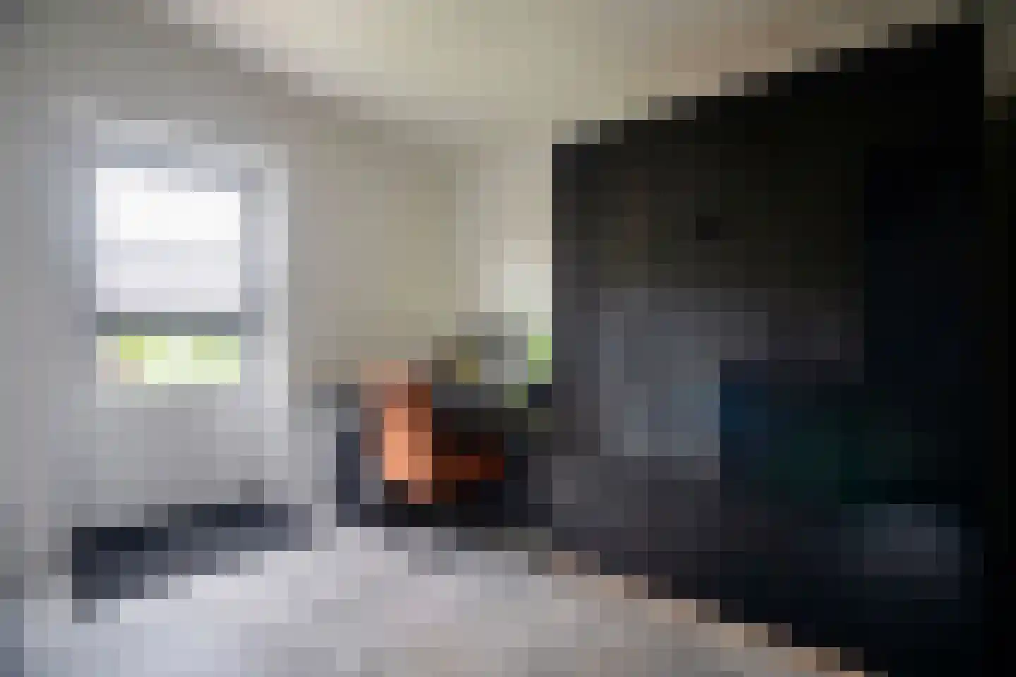 Kwikstaart 2 Kaatsheuvel thumbnail 19