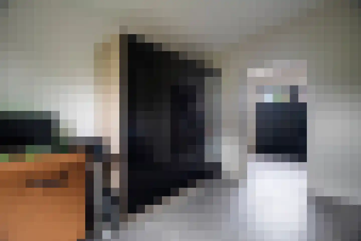 Kwikstaart 2 Kaatsheuvel thumbnail 20