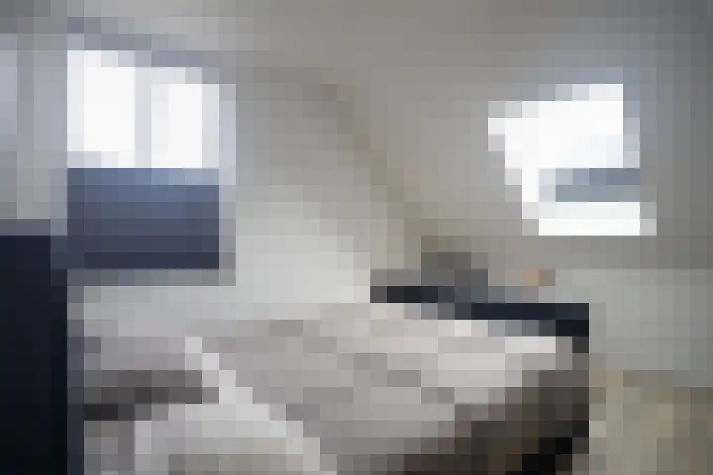 Kwikstaart 2 Kaatsheuvel thumbnail 23