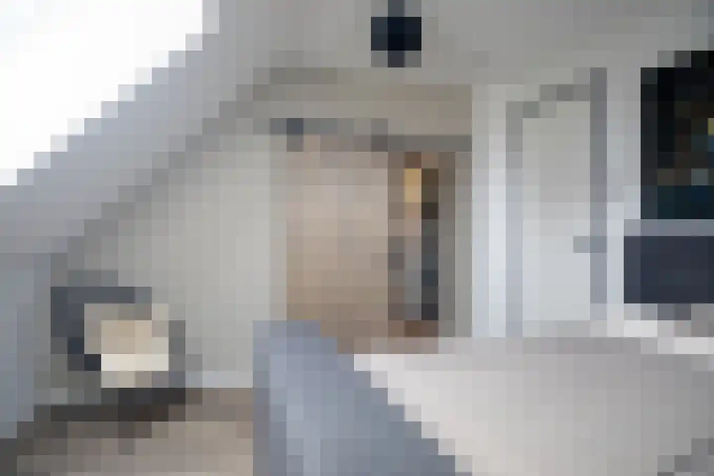 Kwikstaart 2 Kaatsheuvel thumbnail 24