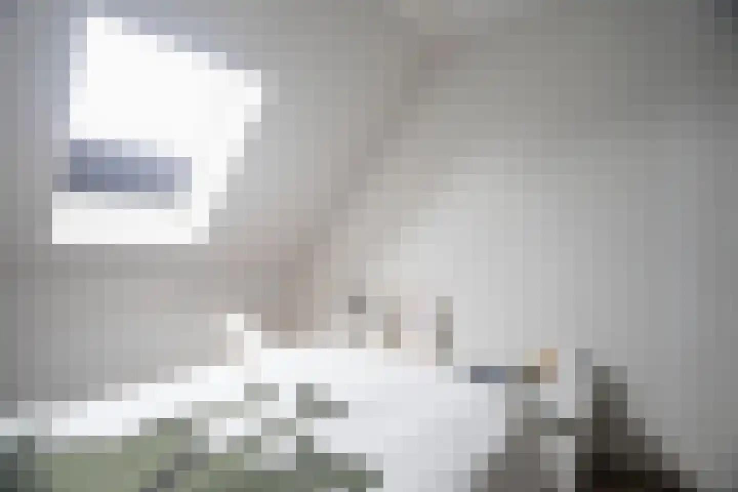 Kwikstaart 2 Kaatsheuvel thumbnail 26