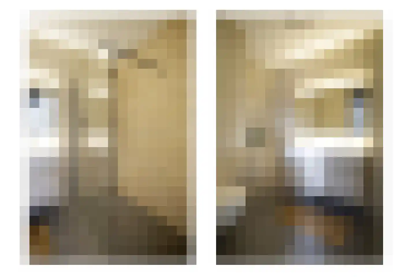 Kwikstaart 2 Kaatsheuvel thumbnail 30