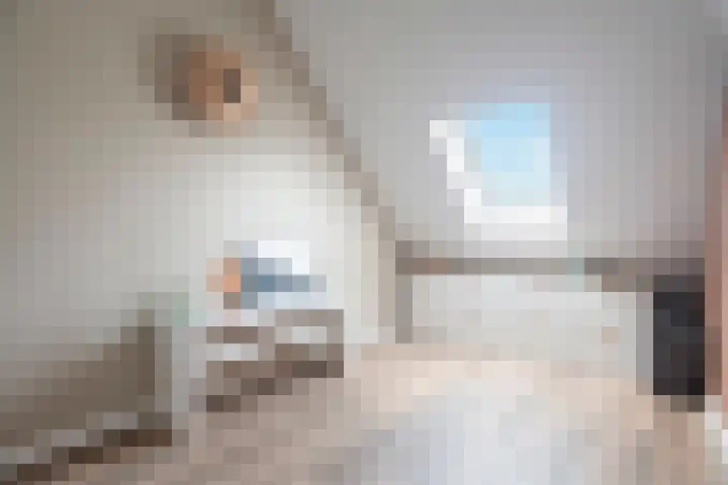 Kwikstaart 2 Kaatsheuvel thumbnail 31