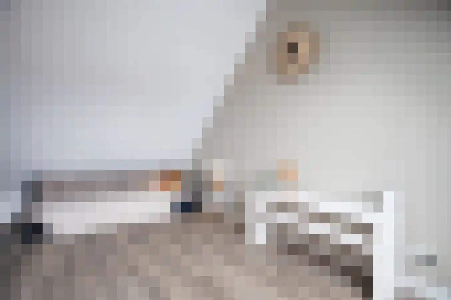 Kwikstaart 2 Kaatsheuvel thumbnail 32