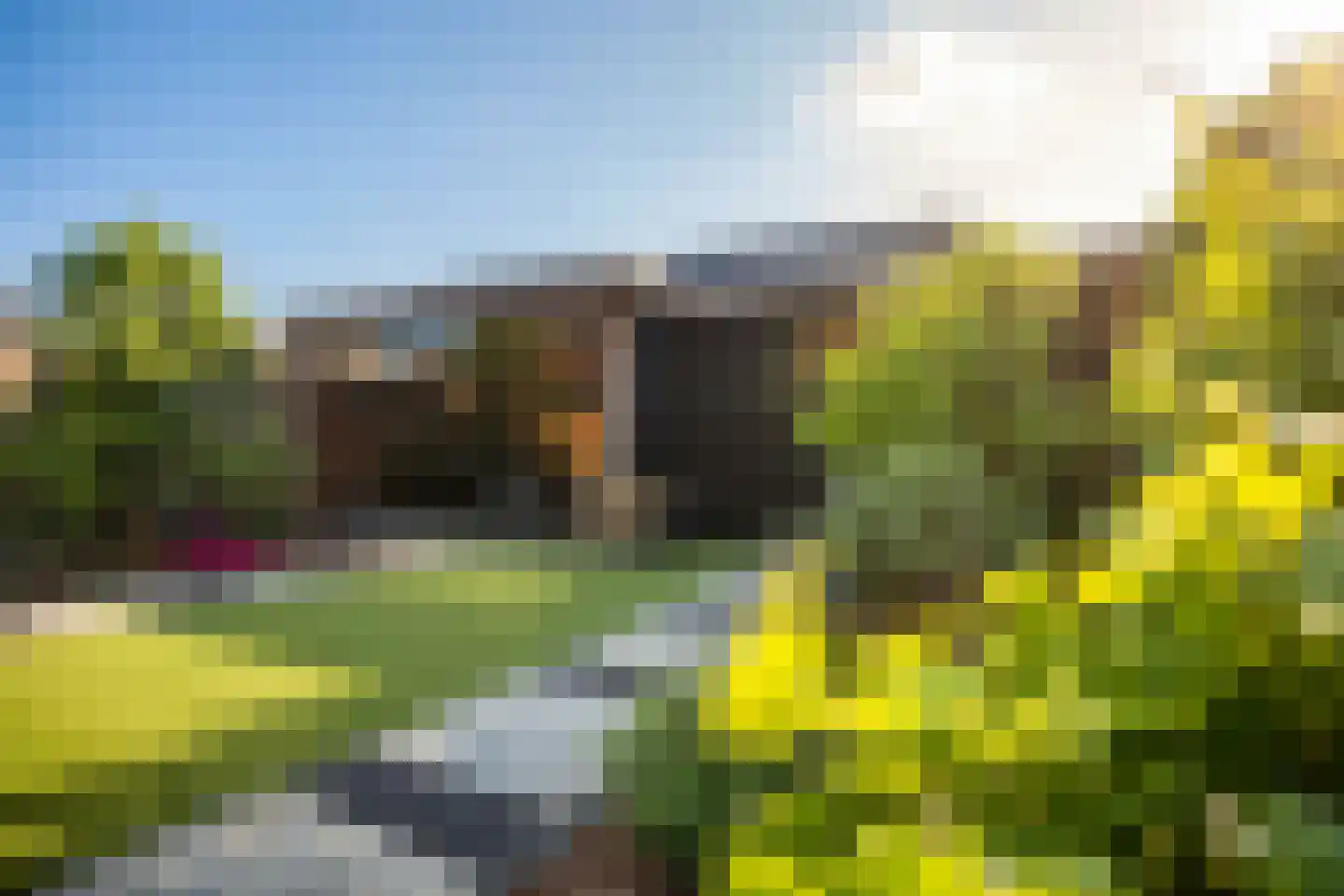 Kwikstaart 2 Kaatsheuvel thumbnail 34