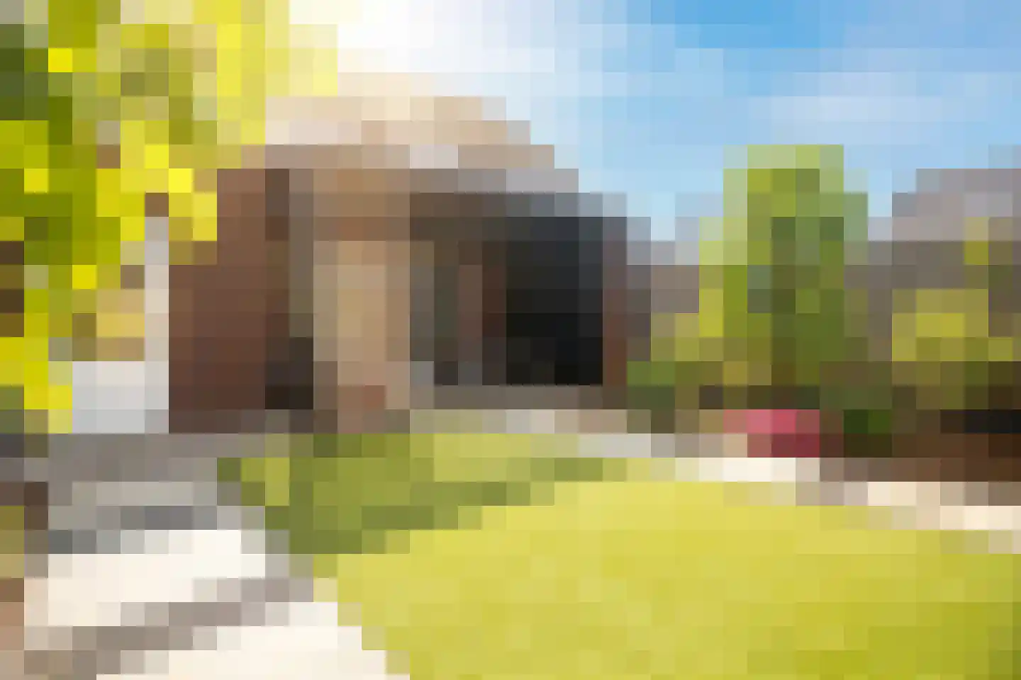 Kwikstaart 2 Kaatsheuvel thumbnail 35