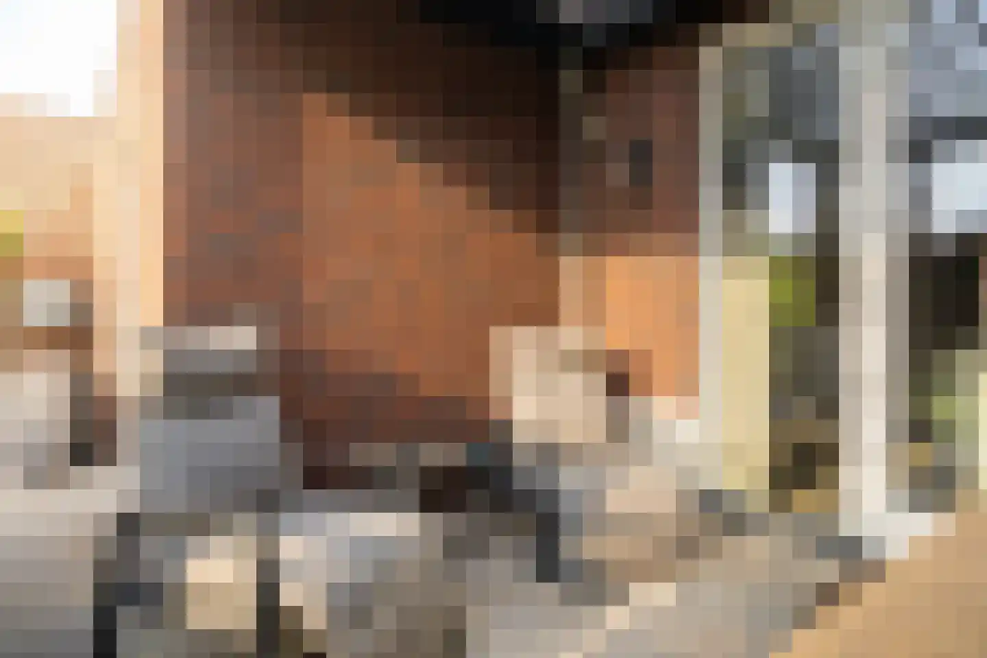 Kwikstaart 2 Kaatsheuvel thumbnail 39