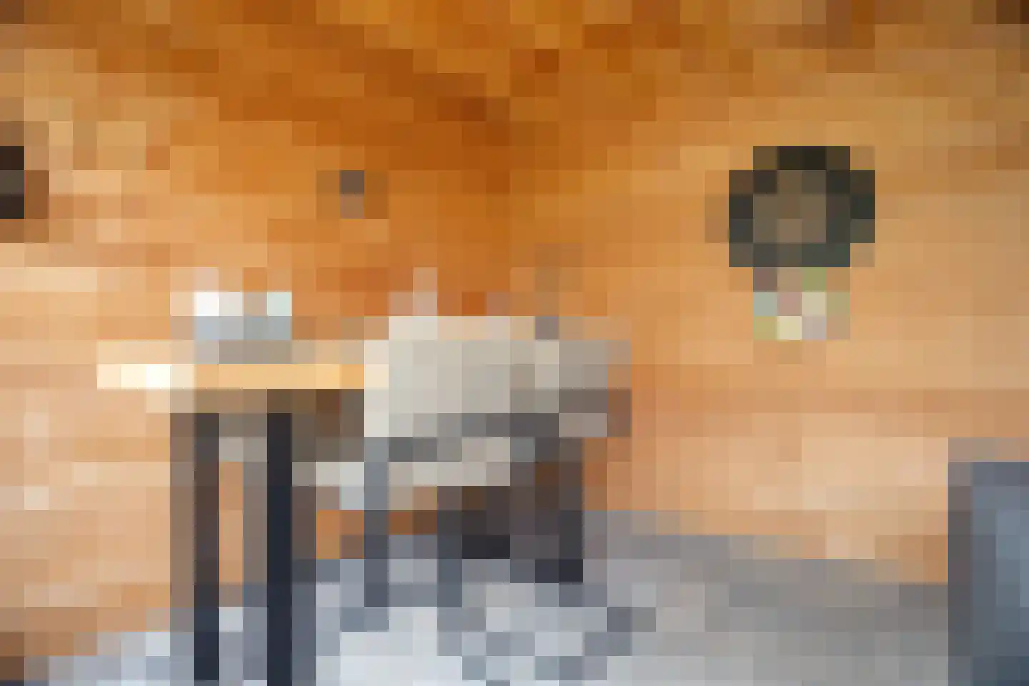Kwikstaart 2 Kaatsheuvel thumbnail 42
