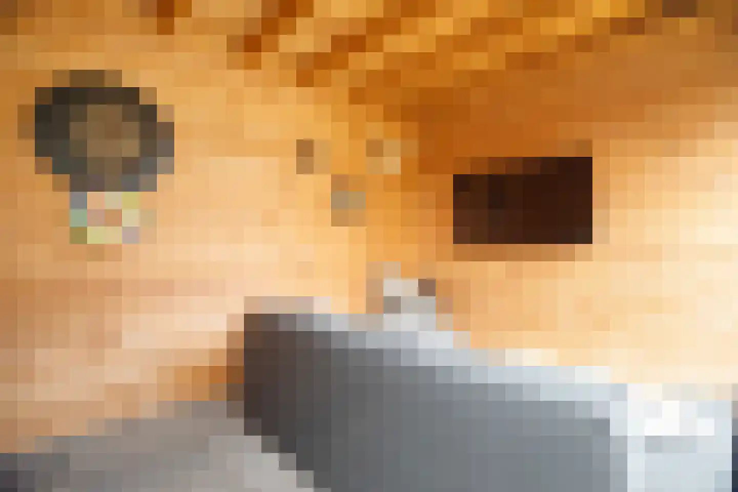 Kwikstaart 2 Kaatsheuvel thumbnail 43