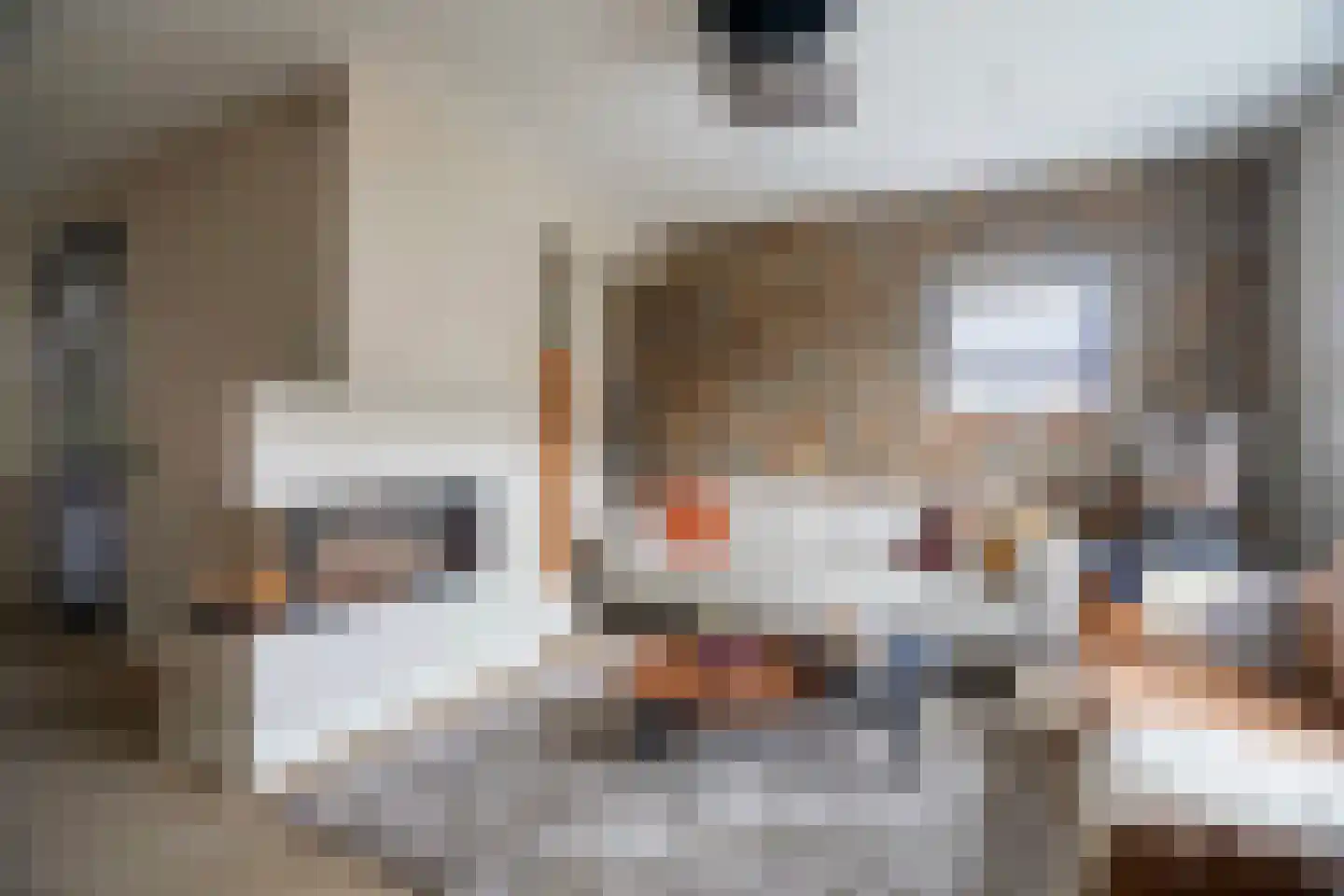Kwikstaart 2 Kaatsheuvel thumbnail 5