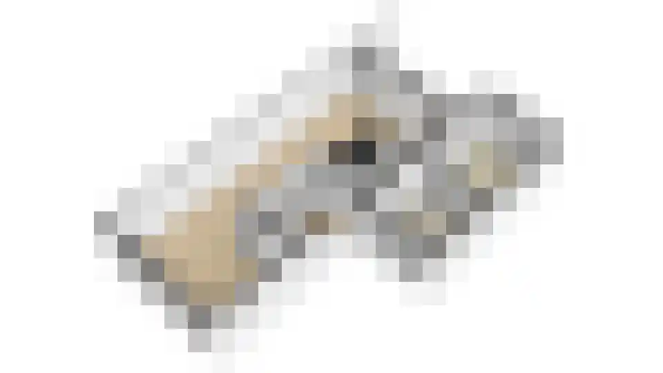 Kwikstaart 2 Kaatsheuvel thumbnail 51