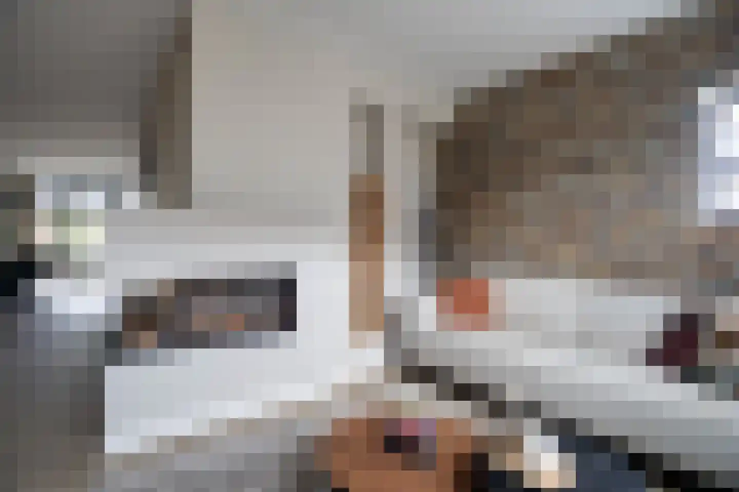 Kwikstaart 2 Kaatsheuvel thumbnail 6