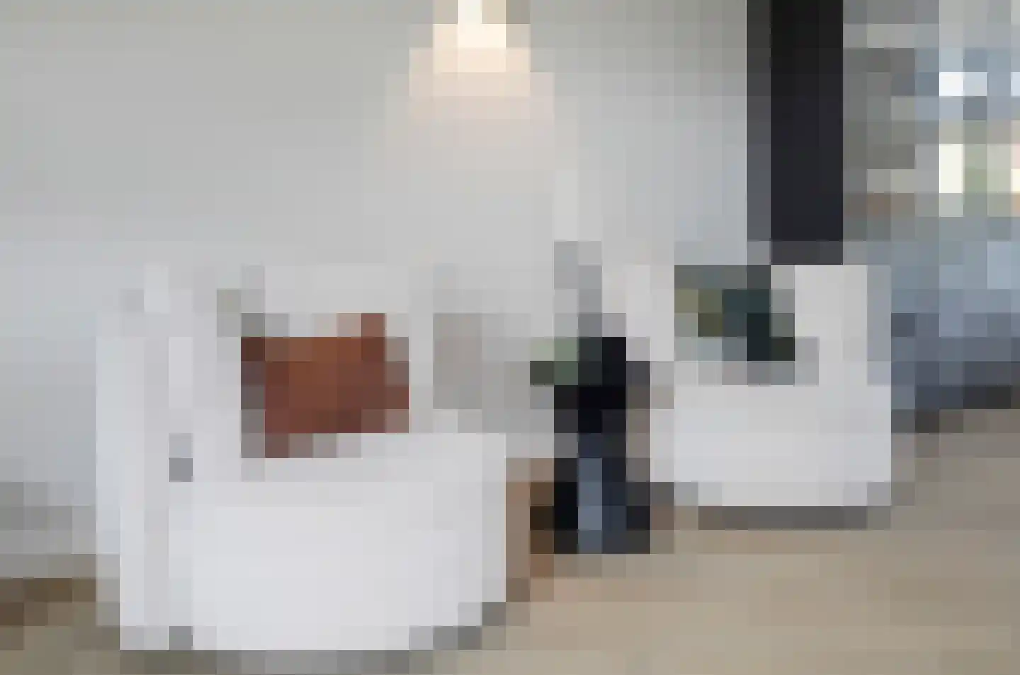 Kwikstaart 2 Kaatsheuvel thumbnail 8