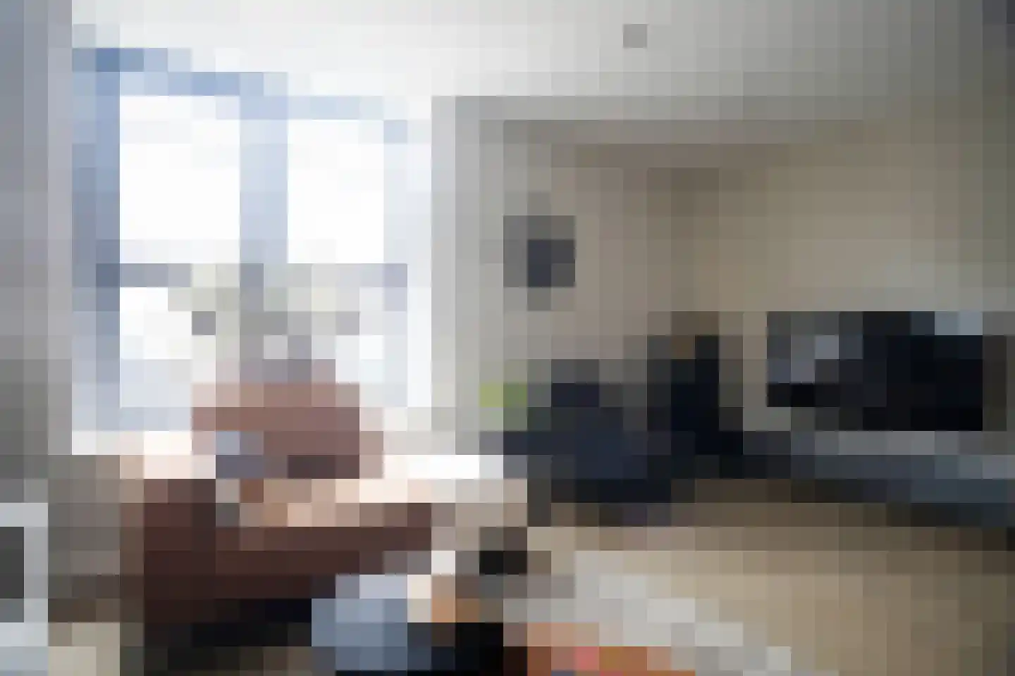 Kwikstaart 2 Kaatsheuvel thumbnail 9