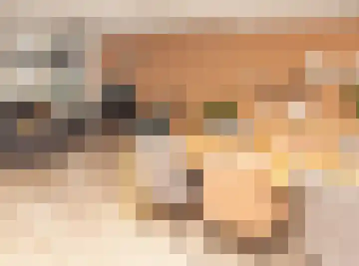 Kwikstaart 21 Etten-Leur thumbnail 10