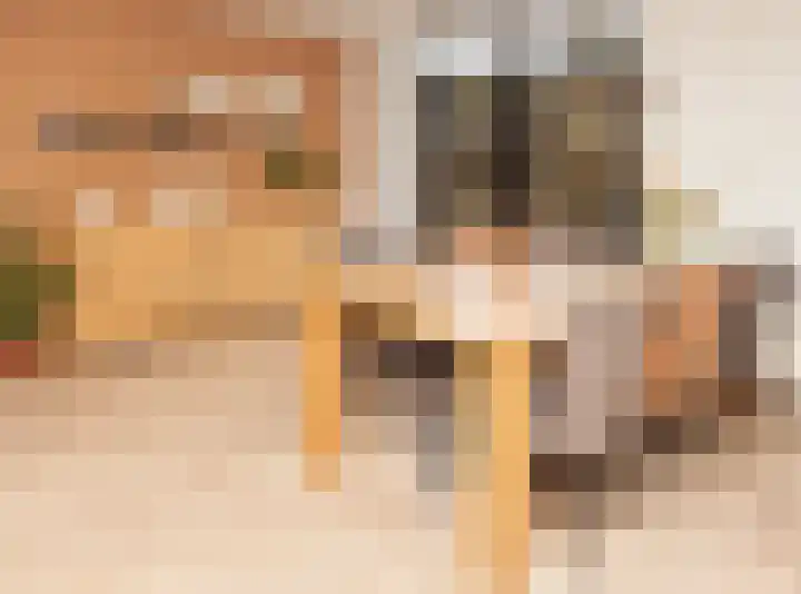 Kwikstaart 21 Etten-Leur thumbnail 14