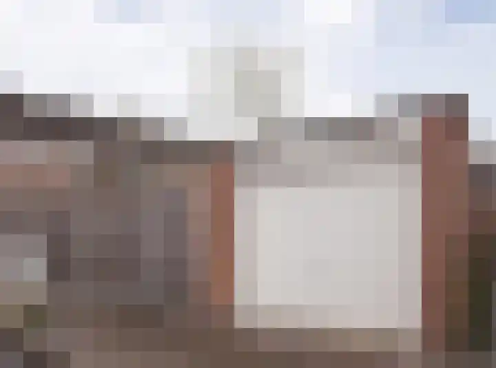 Kwikstaart 21 Etten-Leur foto 2