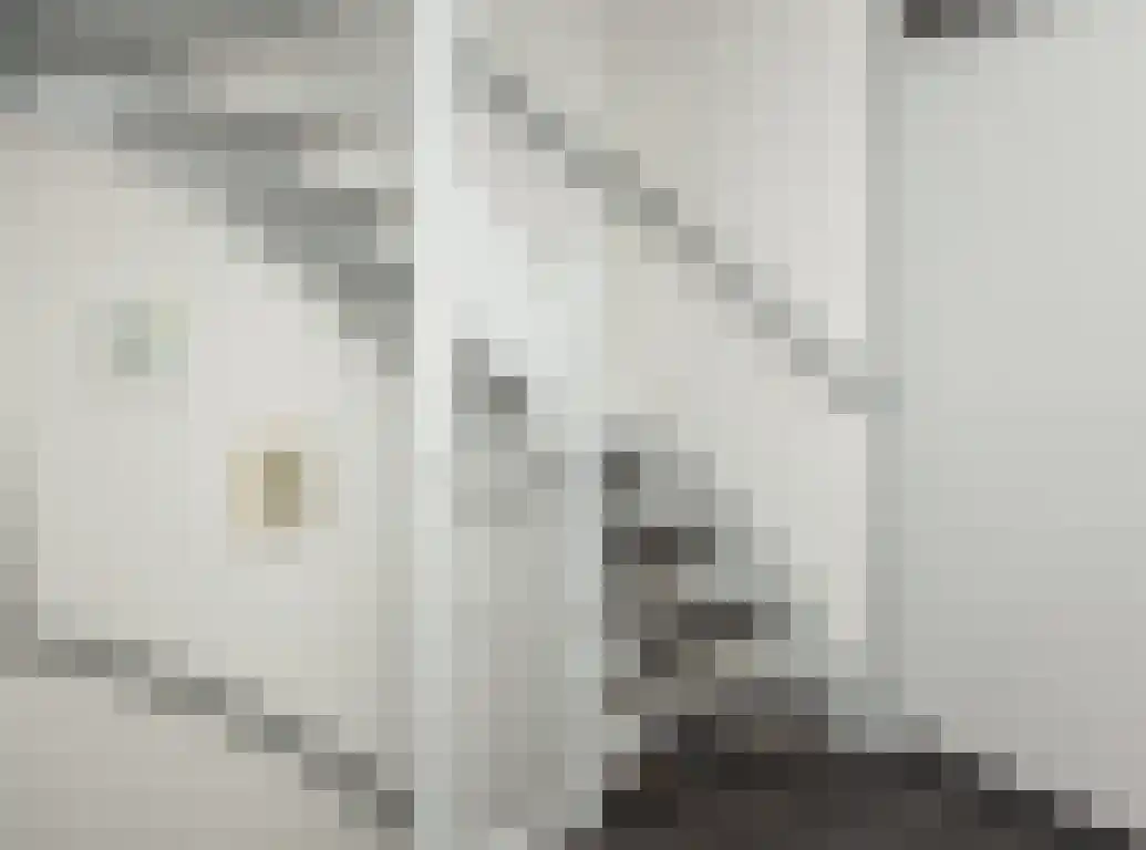 Kwikstaart 21 Etten-Leur thumbnail 20