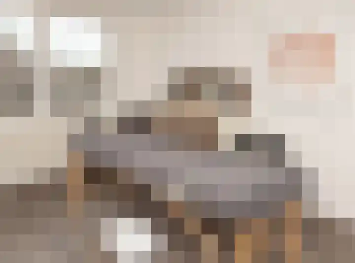 Kwikstaart 21 Etten-Leur thumbnail 24