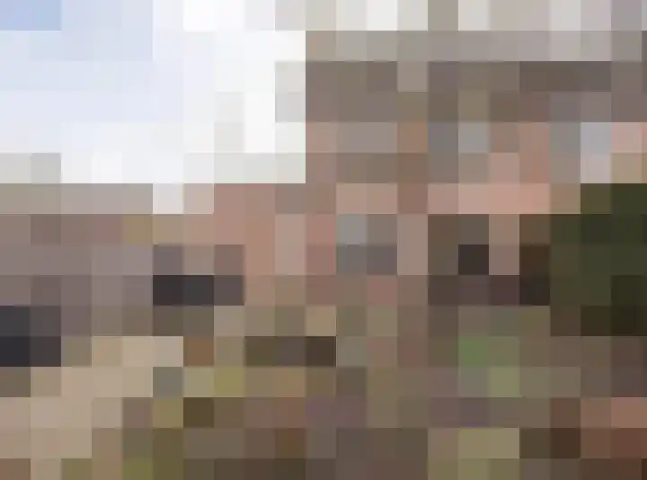 Kwikstaart 21 Etten-Leur foto 3