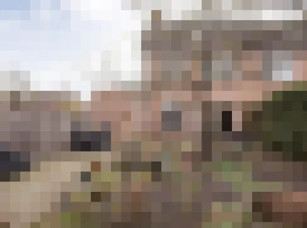 Kwikstaart 21 Etten-Leur foto 3