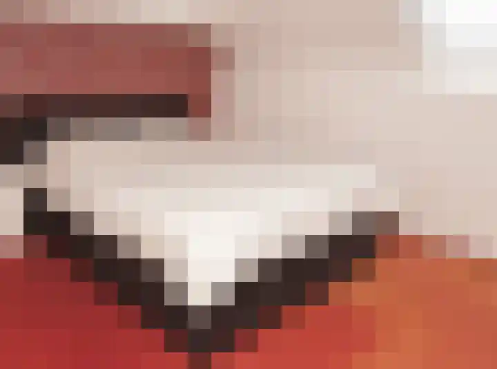 Kwikstaart 21 Etten-Leur thumbnail 31