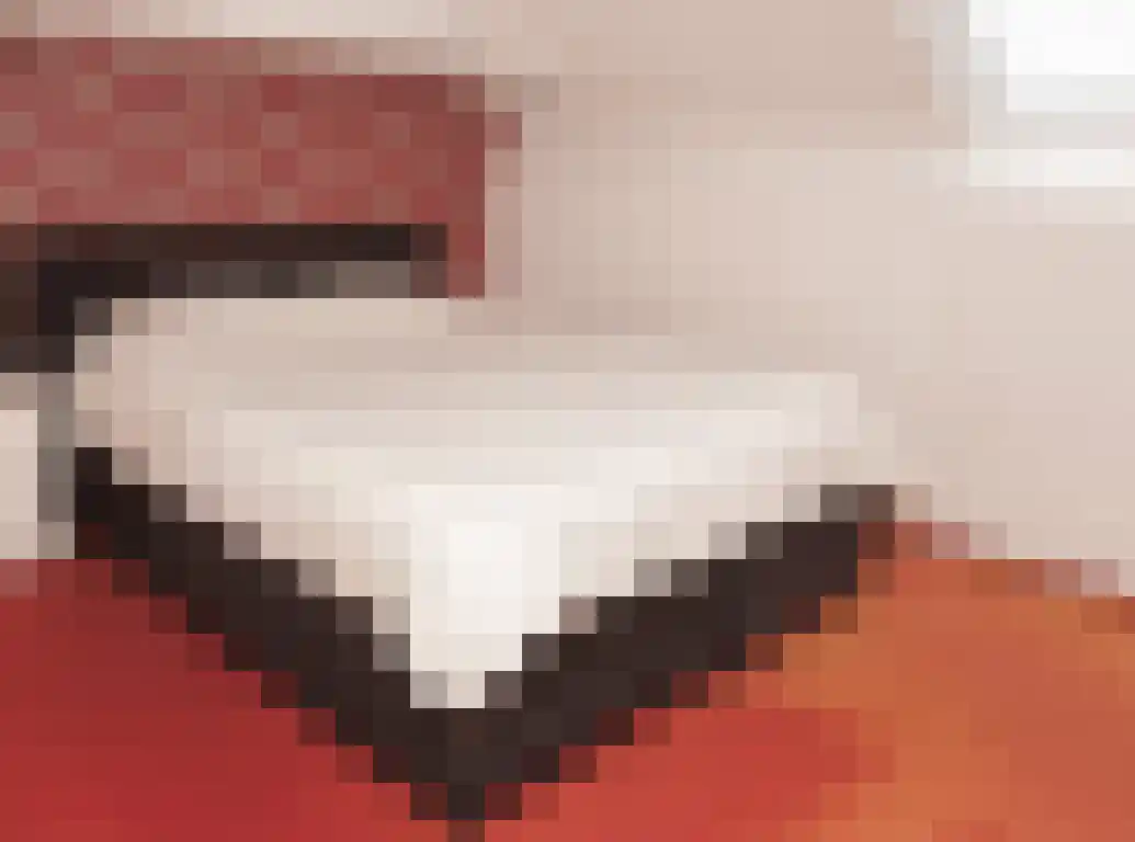 Kwikstaart 21 Etten-Leur thumbnail 31