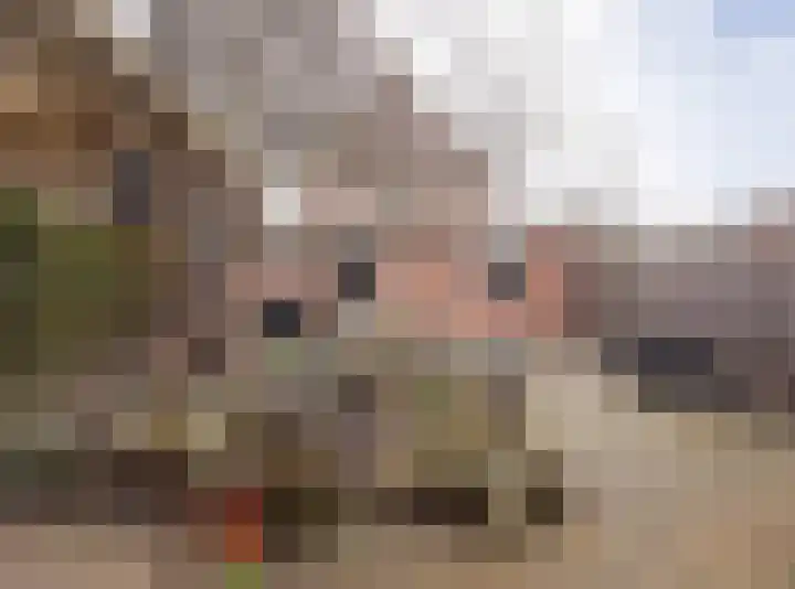Kwikstaart 21 Etten-Leur thumbnail 34