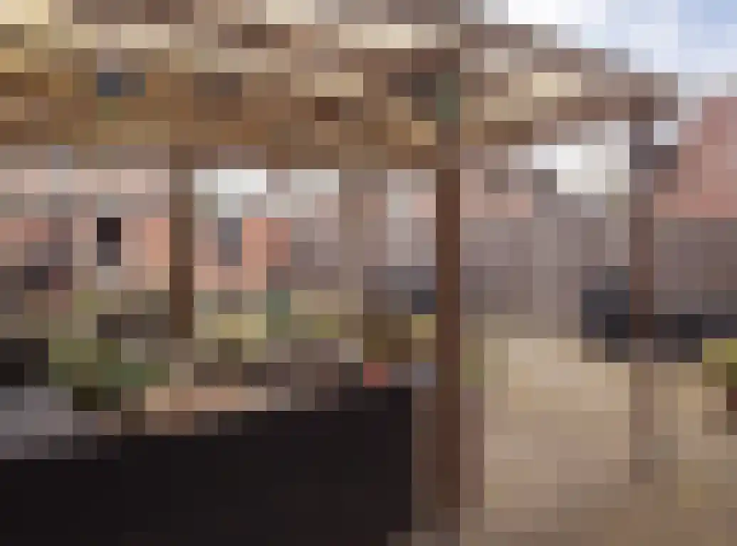 Kwikstaart 21 Etten-Leur thumbnail 35