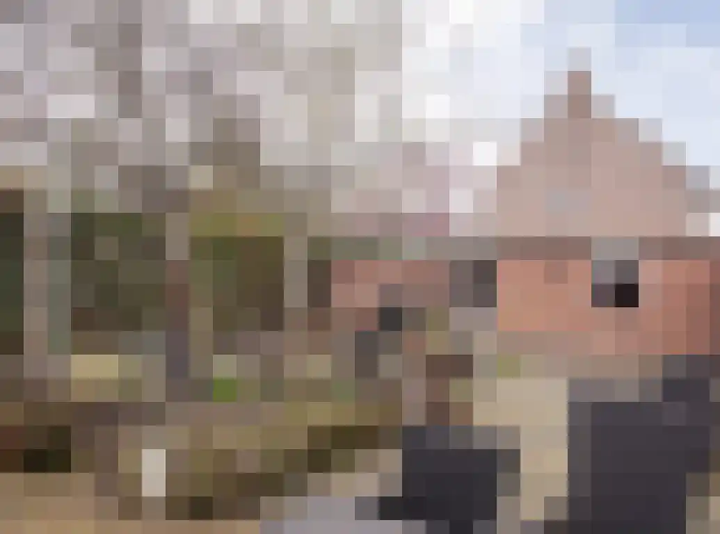 Kwikstaart 21 Etten-Leur thumbnail 36