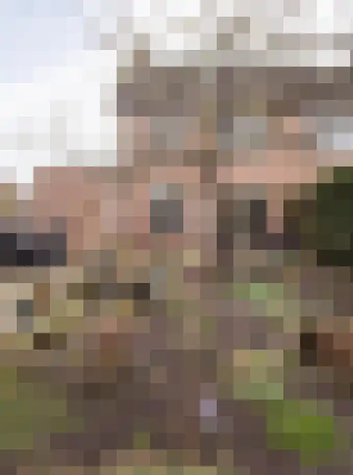 Kwikstaart 21 Etten-Leur thumbnail 37