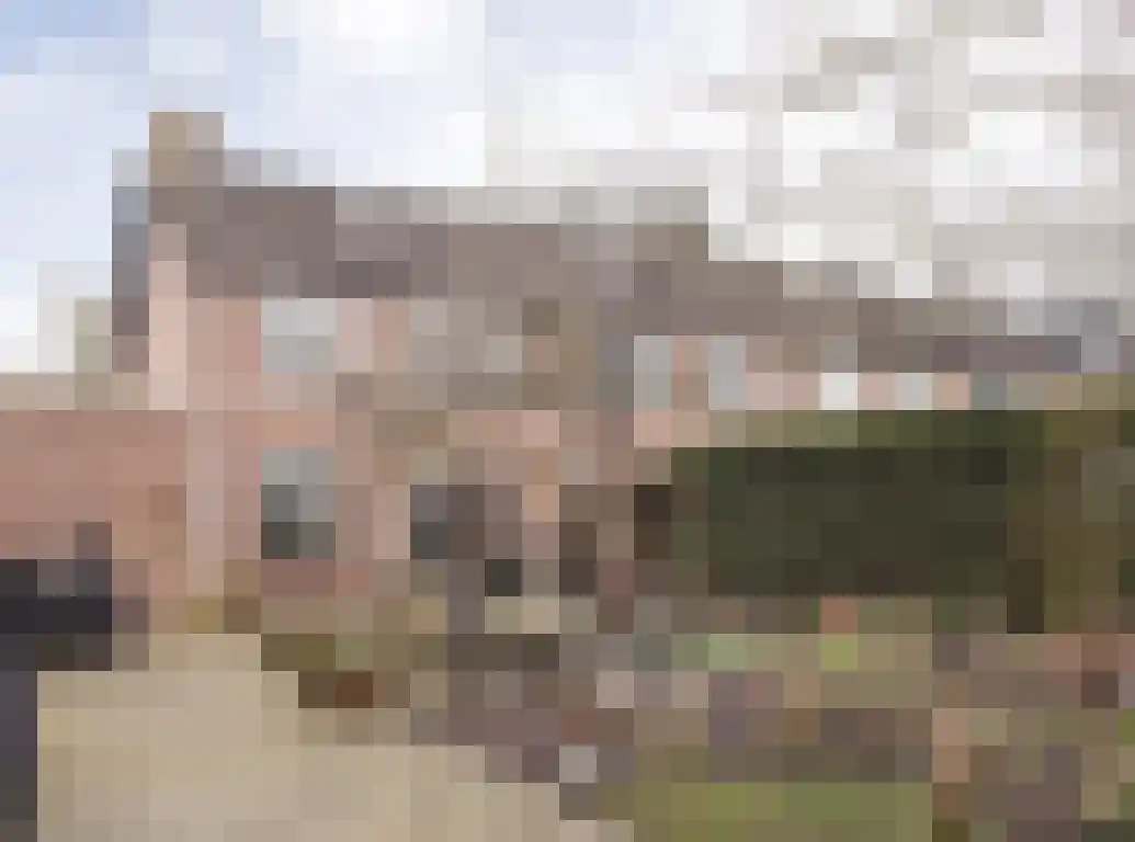 Kwikstaart 21 Etten-Leur thumbnail 38