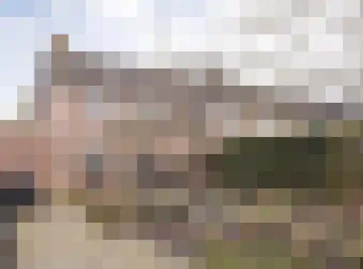 Kwikstaart 21 Etten-Leur thumbnail 38