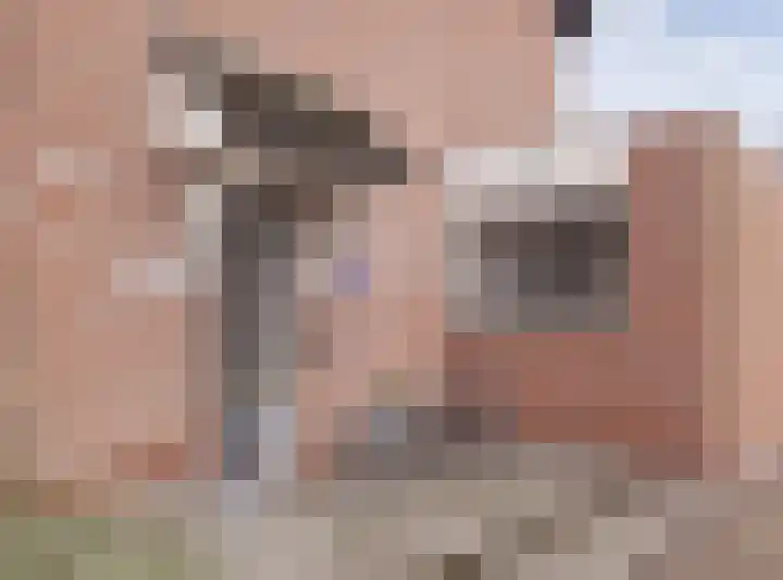 Kwikstaart 21 Etten-Leur thumbnail 4