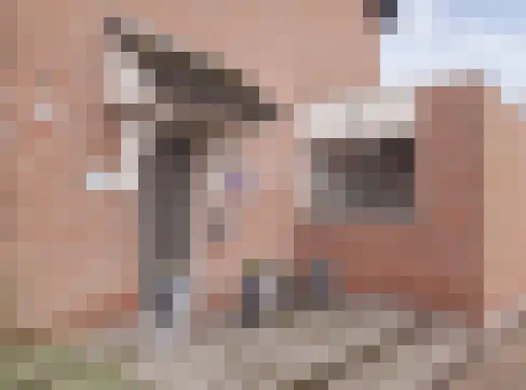 Kwikstaart 21 Etten-Leur thumbnail 4