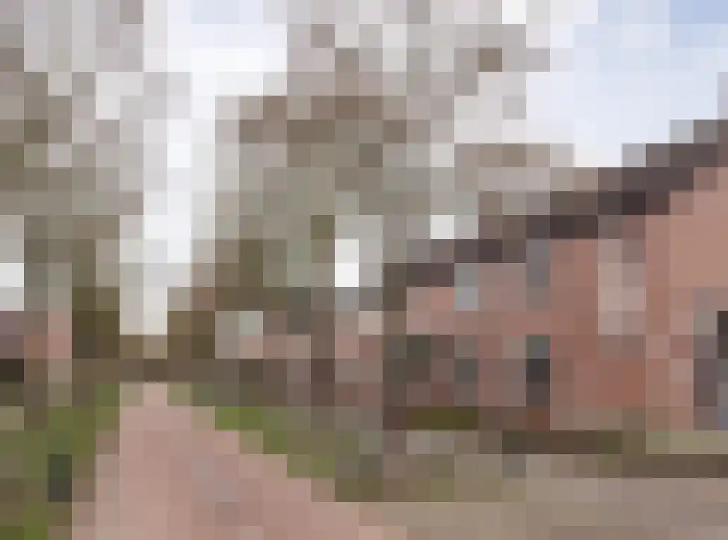 Kwikstaart 21 Etten-Leur thumbnail 41