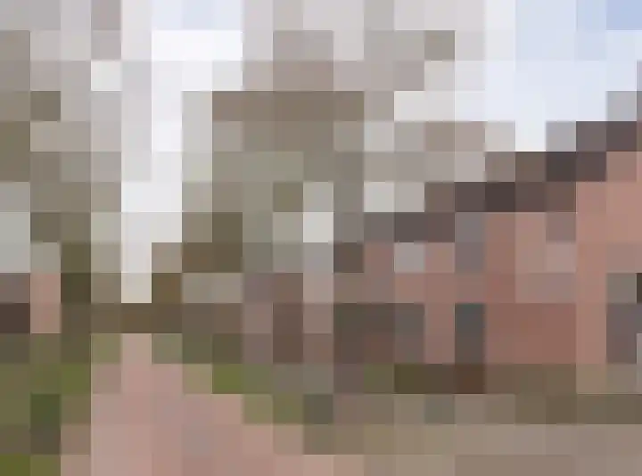 Kwikstaart 21 Etten-Leur thumbnail 41