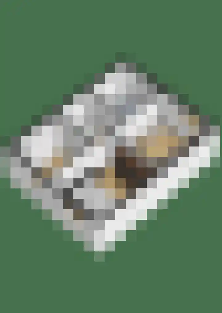 Kwikstaart 21 Etten-Leur thumbnail 45