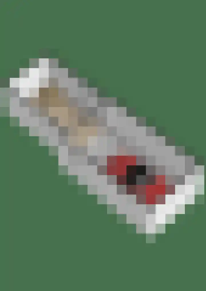 Kwikstaart 21 Etten-Leur thumbnail 49
