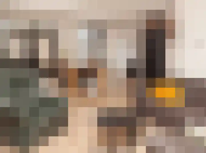 Kwikstaart 21 Etten-Leur thumbnail 9