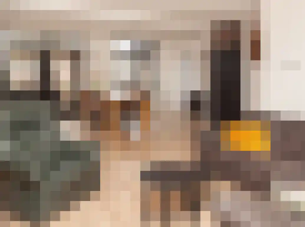 Kwikstaart 21 Etten-Leur thumbnail 9