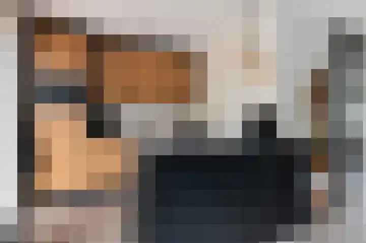 Kwikstaart 23 Raalte thumbnail 11
