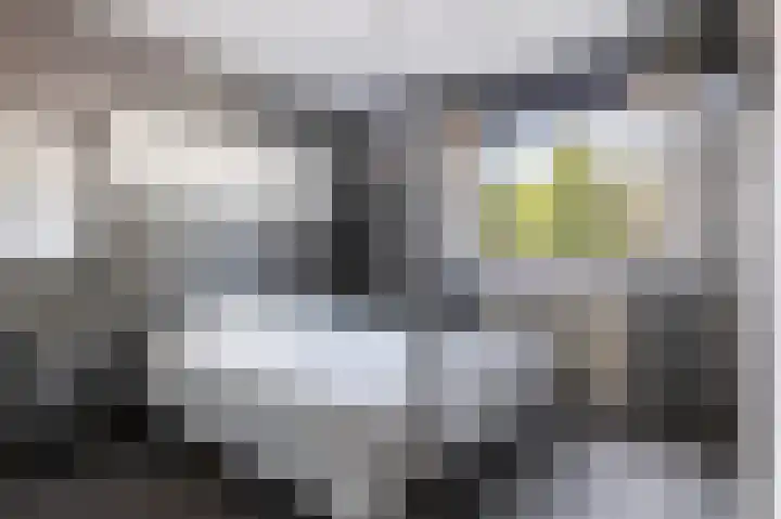 Kwikstaart 23 Raalte thumbnail 14