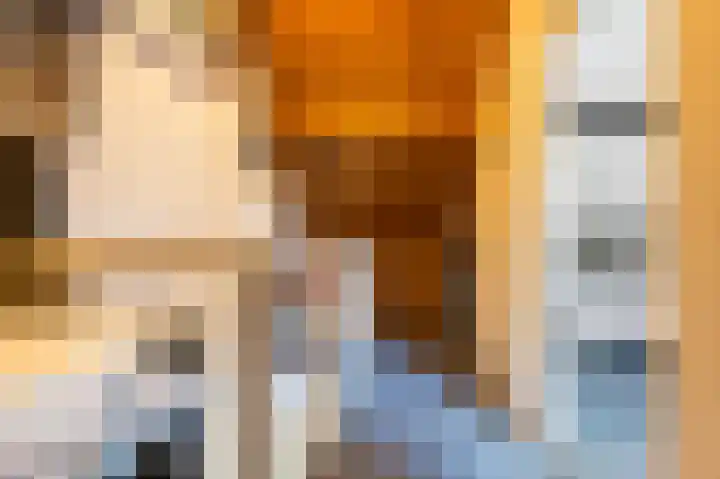 Kwikstaart 23 Raalte thumbnail 25