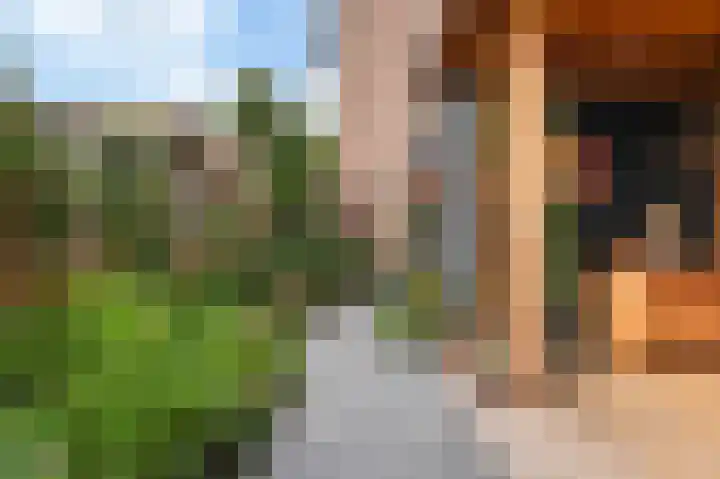 Kwikstaart 23 Raalte thumbnail 29