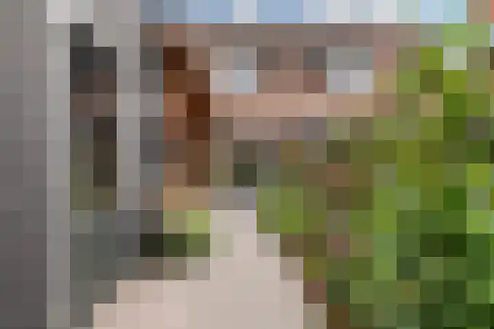 Kwikstaart 23 Raalte thumbnail 30