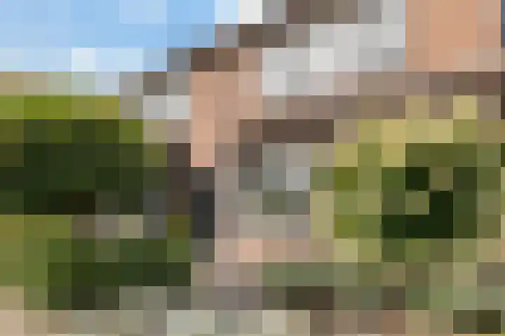 Kwikstaart 23 Raalte thumbnail 4
