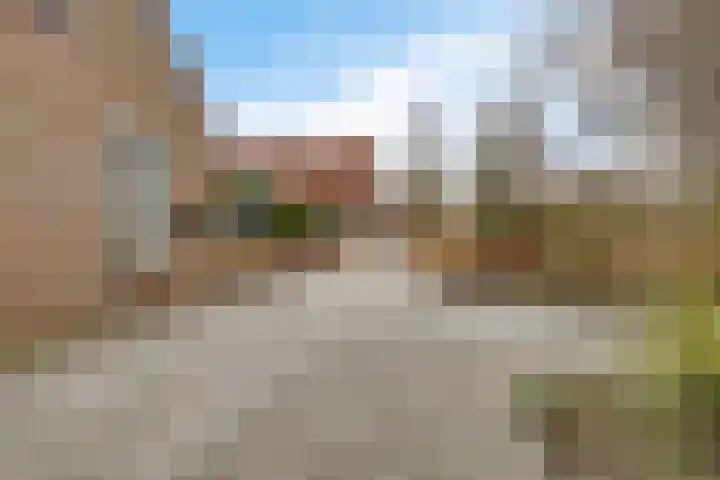 Kwikstaart 24 Siddeburen thumbnail 10